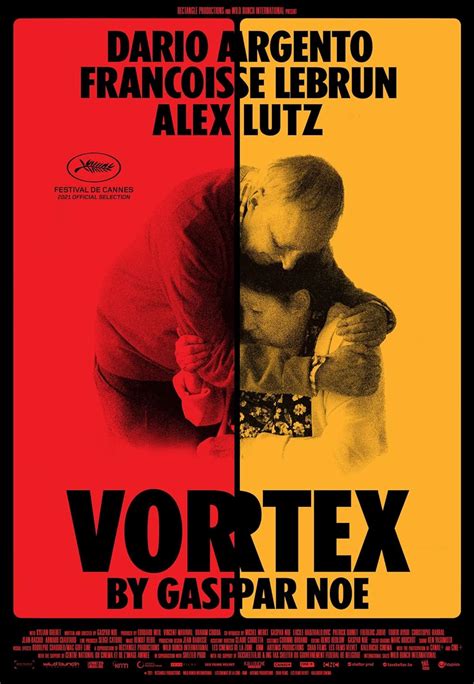 vortex imdb|vortex 2021 film.